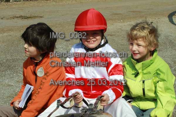 IMG 0082 prot
