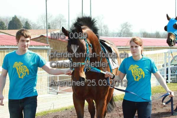 IMG 0089 prot