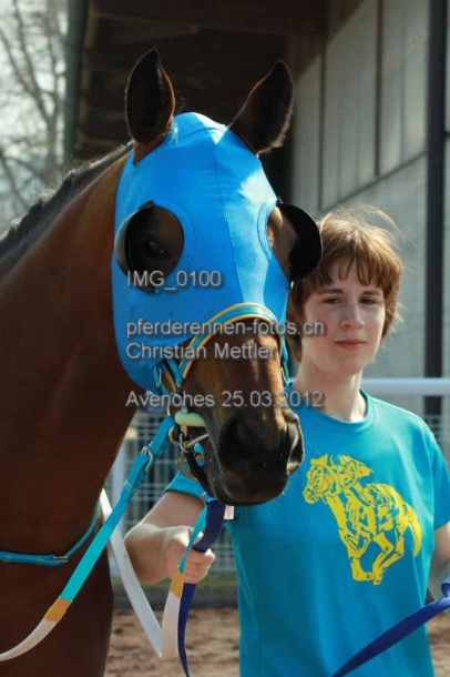 IMG 0100 prot