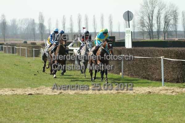 IMG 0117 prot