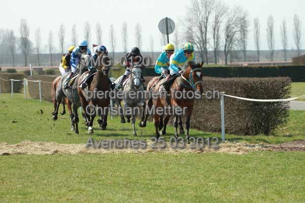 IMG 0120 prot
