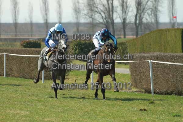 IMG 0138 prot