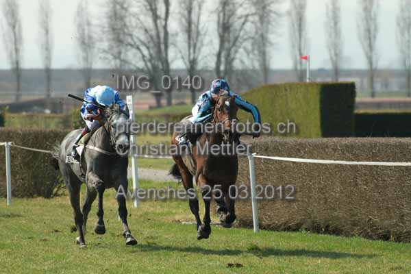 IMG 0140 prot