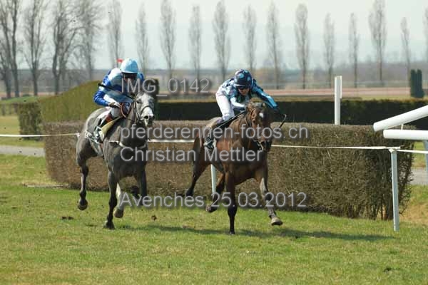 IMG 0142 prot