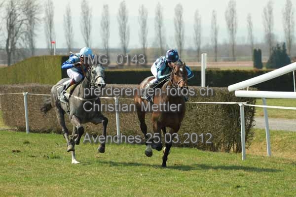 IMG 0143 prot