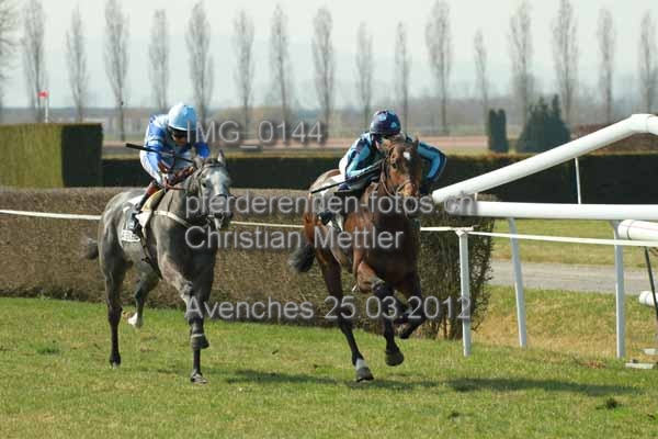 IMG 0144 prot