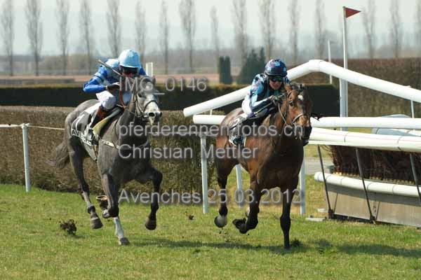 IMG 0146 prot