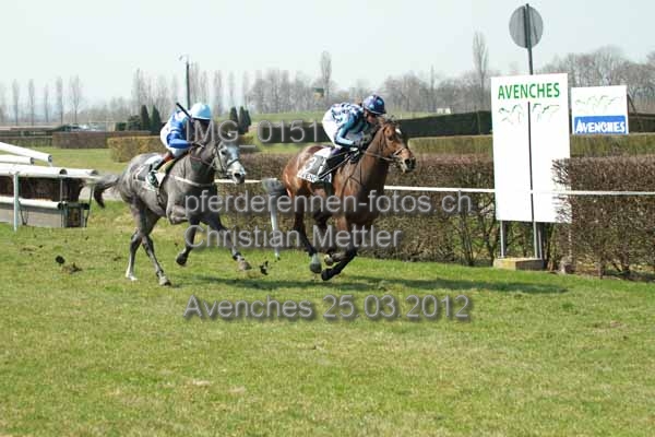 IMG 0151 prot