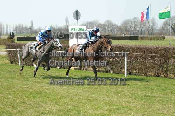 IMG 0153 prot