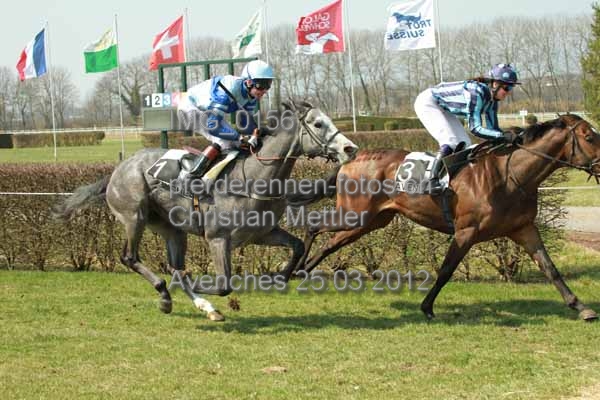 IMG 0156 prot