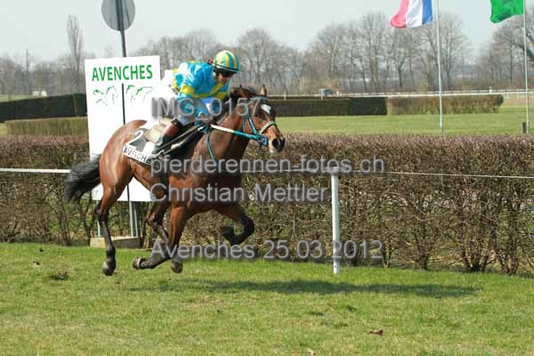 IMG 0157 prot