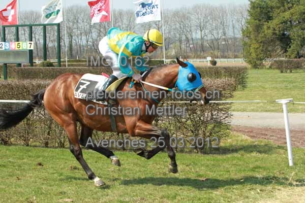 IMG 0162 prot