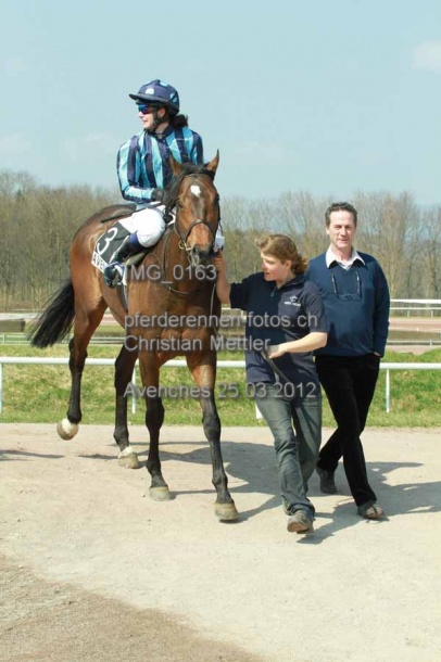 IMG 0163 prot