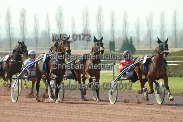 IMG 0172 prot