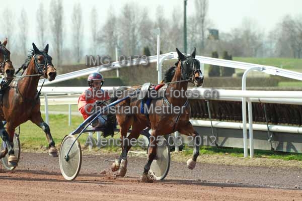 IMG 0173 prot