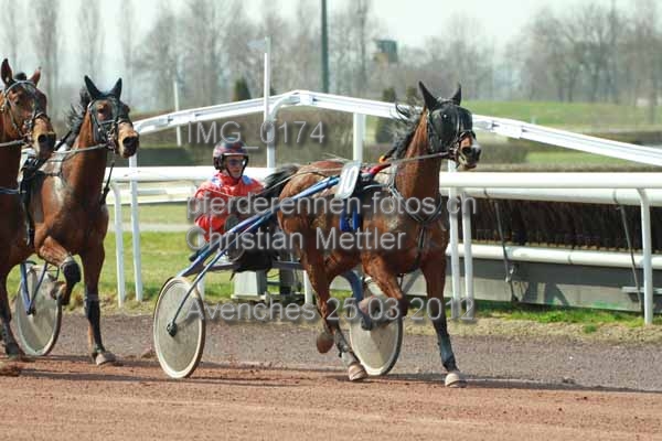 IMG 0174 prot