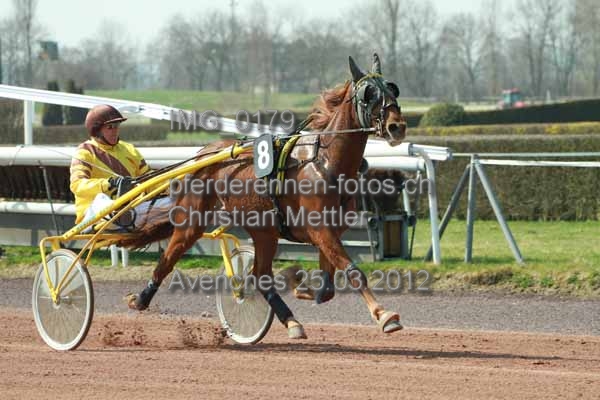 IMG 0179 prot