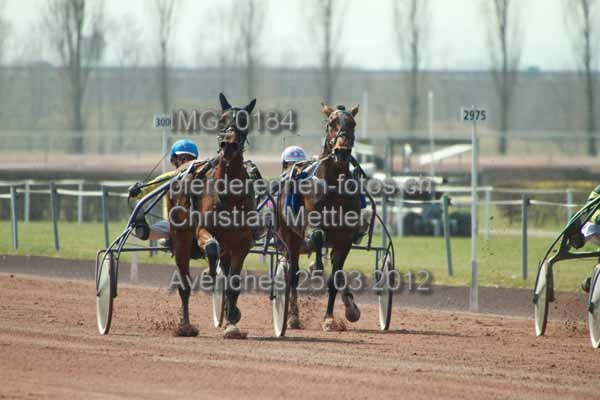 IMG 0184 prot