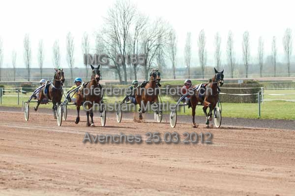 IMG 0185 prot