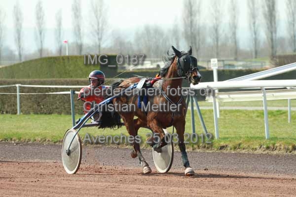 IMG 0187 prot