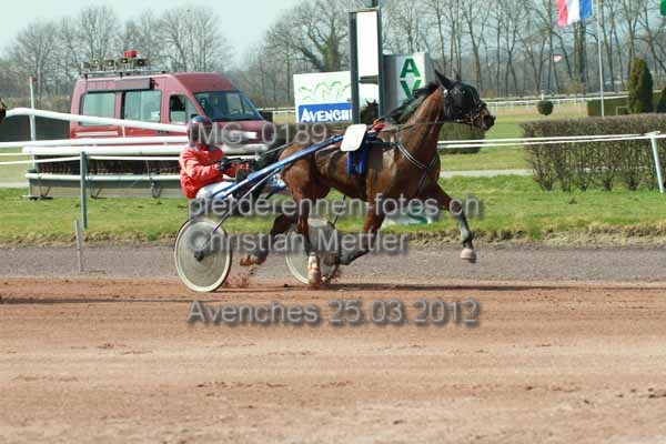 IMG 0189 prot