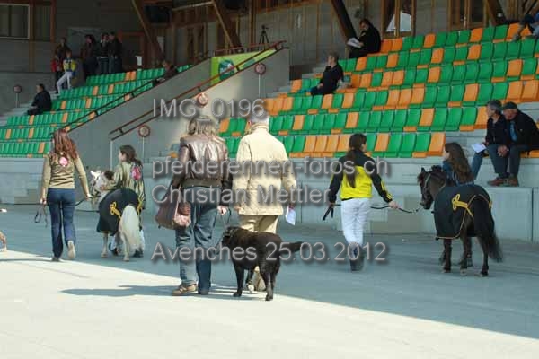 IMG 0196 prot
