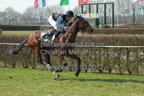 IMG 0245 prot