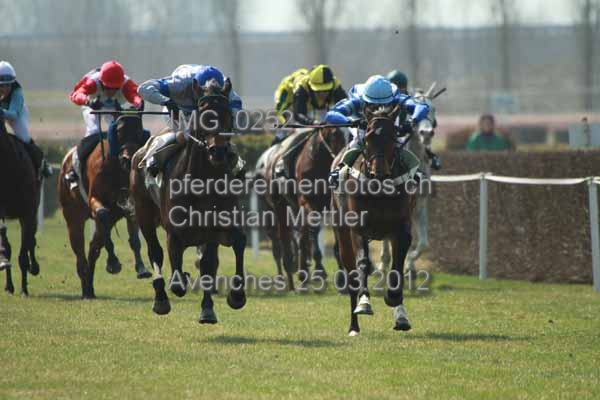 IMG 0252 prot