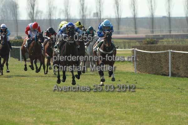 IMG 0255 prot