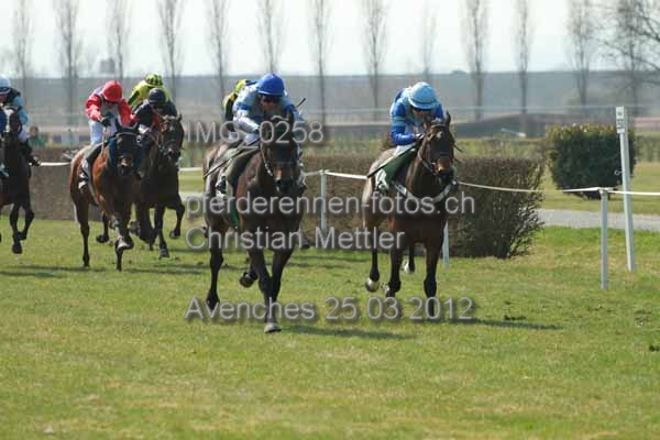 IMG 0258 prot