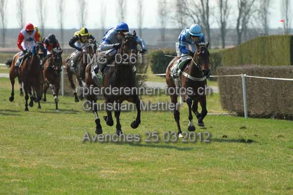 IMG 0261 prot