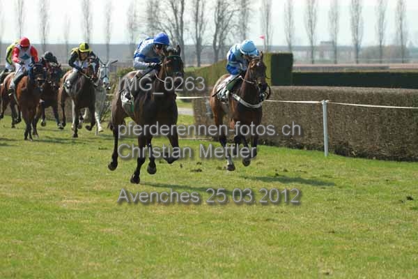 IMG 0263 prot