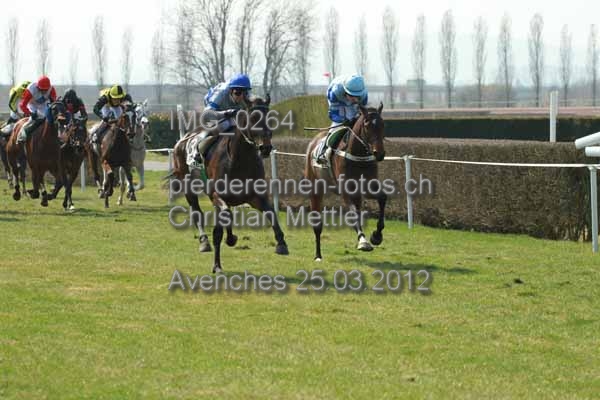 IMG 0264 prot