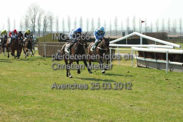 IMG 0266 prot