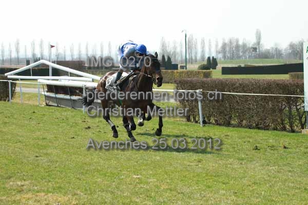 IMG 0270 prot