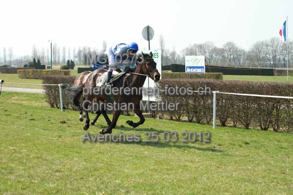 IMG 0273 prot