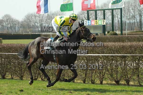 IMG 0290 prot