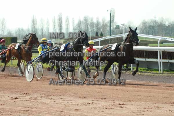 IMG 0303 prot