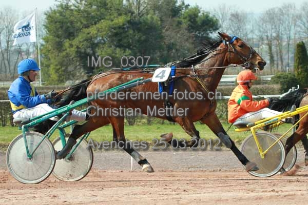 IMG 0307 prot