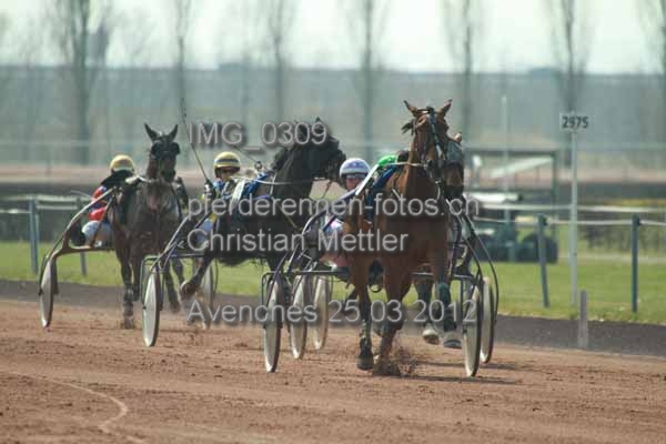 IMG 0309 prot