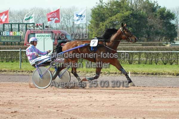 IMG 0318 prot