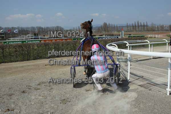 IMG 0324.1 prot