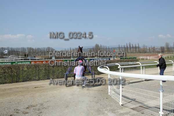IMG 0324.5 prot