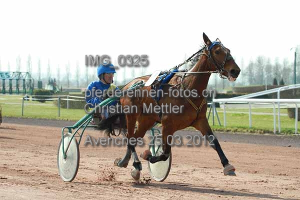 IMG 0325 prot