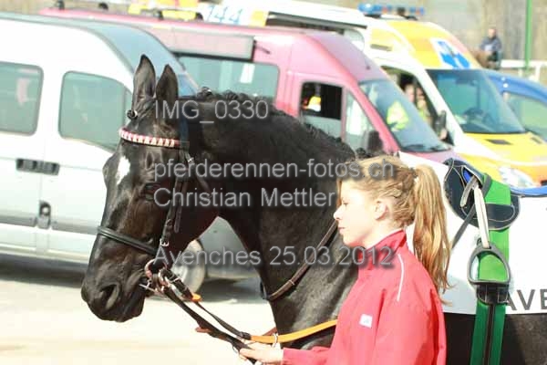IMG 0330 prot