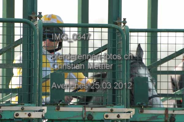 IMG 0347 prot