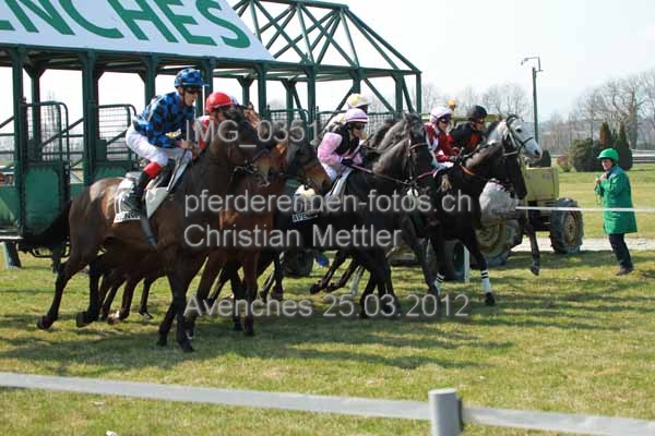 IMG 0351 prot