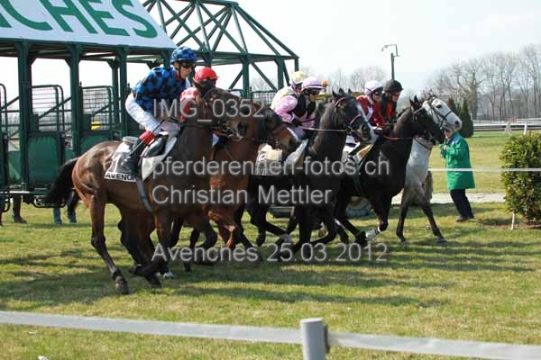 IMG 0352 prot