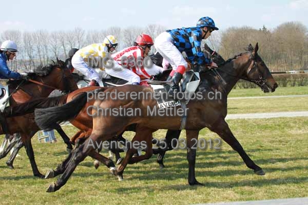 IMG 0360 prot