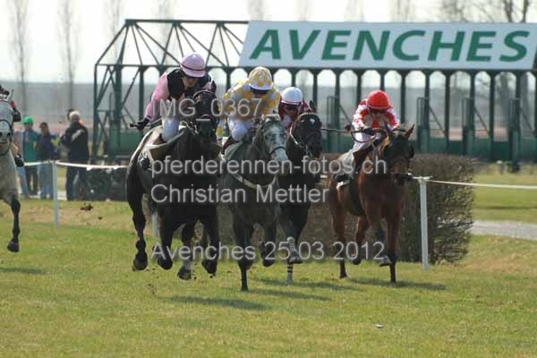 IMG 0367 prot